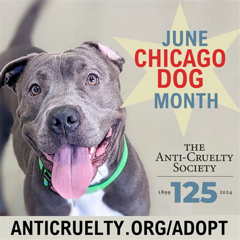 Anti cruelty chicago - President of the Anti-Cruelty Society of Chicago, Tracy Elliott, on celebrating 125 years. When the first facility was first created, it was done so to save horses. Of course, for a very long time, the mission has transitioned to support dogs and cats, and support families (since pets are members of the family).